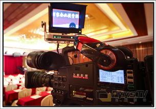 专业服务助力大型活动 摄影摄像、设备租赁与礼仪服务全方位解决方案